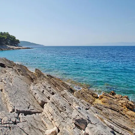 Borova Bb * 벨라루카